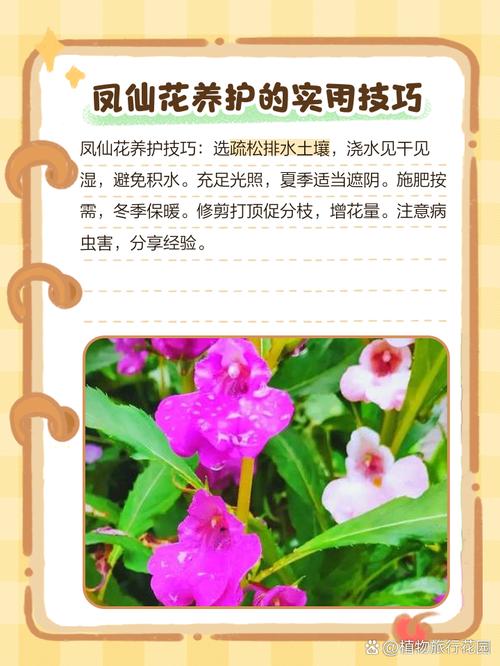 盆栽花卉养殖方法有哪些？-第1张图片-吾爱花网