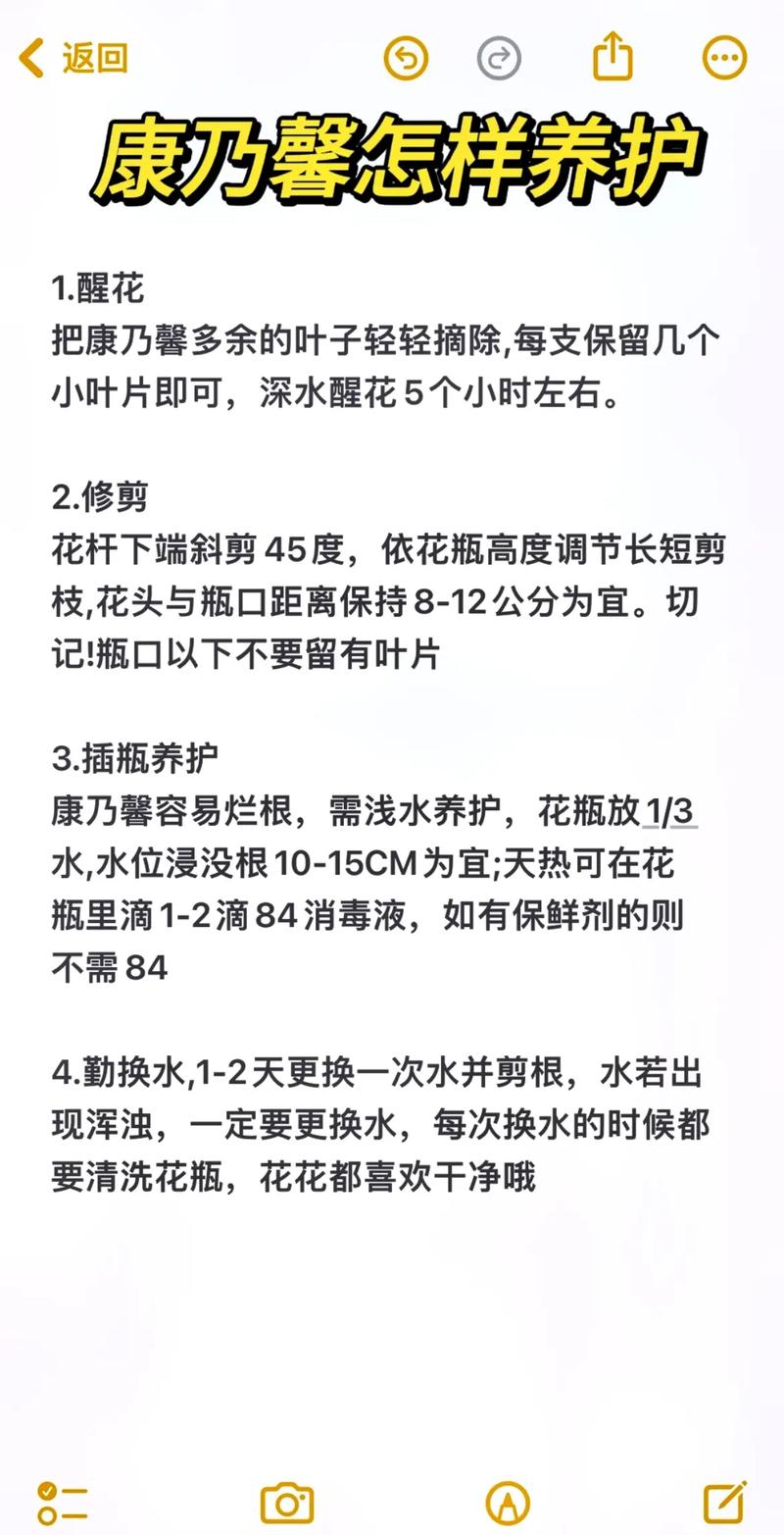 鲜切水培康乃馨怎么养才好？-第2张图片-吾爱花网
