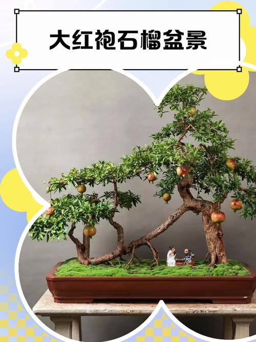 盆栽番石榴什么品种最适合家庭种植？-第1张图片-吾爱花网