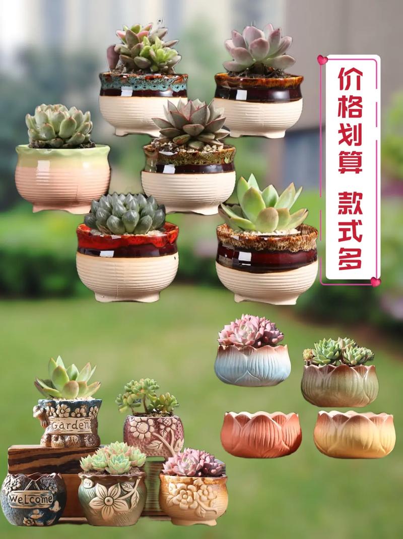 多肉选什么盆好养？关键看材质？-第1张图片-吾爱花网