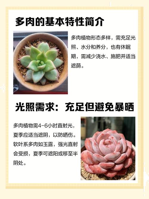 多肉植物有哪些显著特征？-第1张图片-吾爱花网