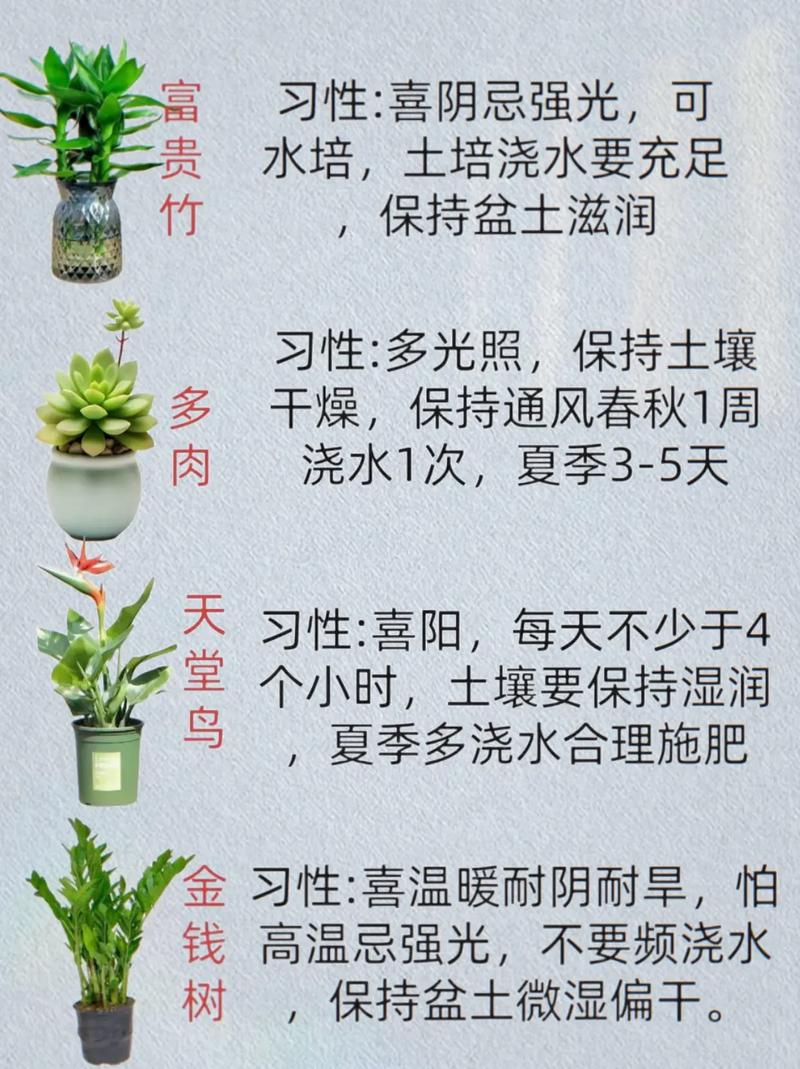 花卉盆栽种植养护要点有哪些？-第3张图片-吾爱花网