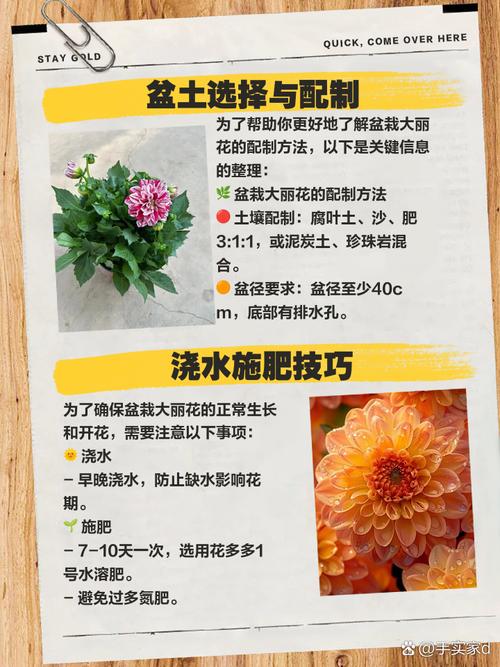 花卉盆栽种植养护要点有哪些？-第1张图片-吾爱花网
