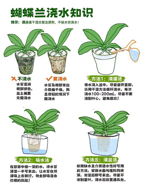 冬天盆栽浇水怎么浇才合适?-第1张图片-吾爱花网 冬天盆栽浇水怎么浇才合适?-第1张图片-吾爱花网