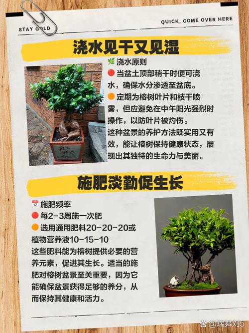 养盆栽趣事好处多，具体有哪些？-第2张图片-吾爱花网