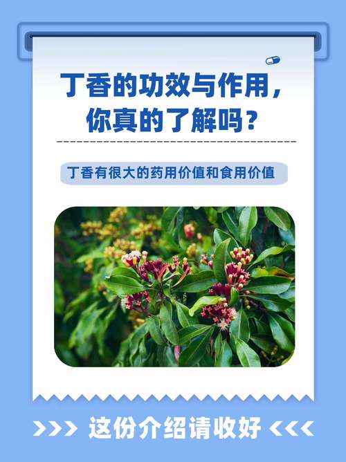 盆栽丁香对人体有害吗?-第1张图片-吾爱花网 盆栽丁香对人体有害吗?-第1张图片-吾爱花网