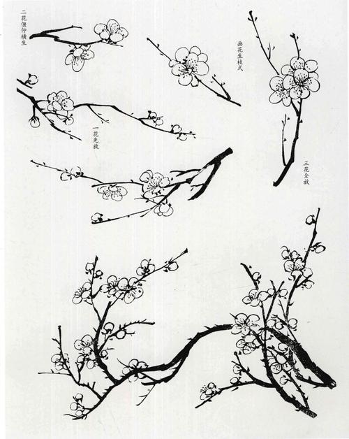 儿童学画梅花盆栽，如何掌握画法要领？-第1张图片-吾爱花网