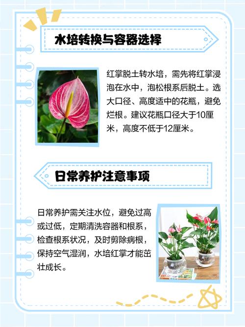 盆栽中国红如何养出如意姿态？-第3张图片-吾爱花网