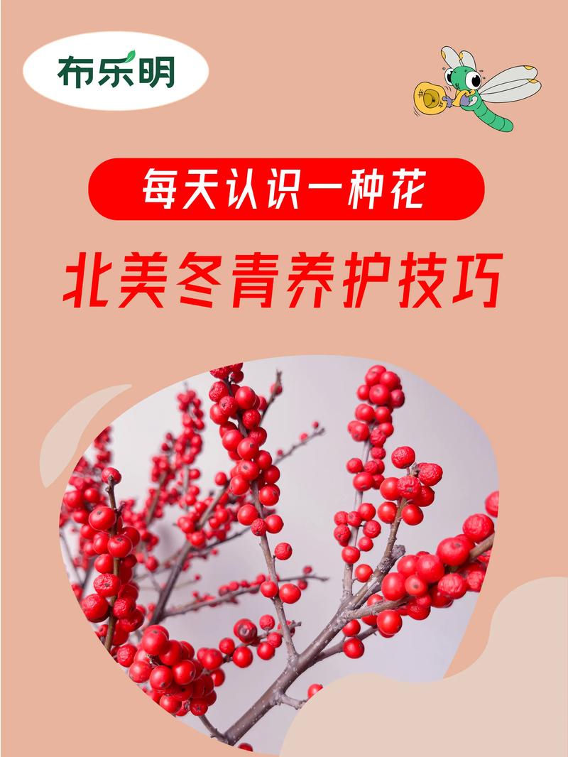 冬天绿植盆栽养护要点有哪些？-第1张图片-吾爱花网