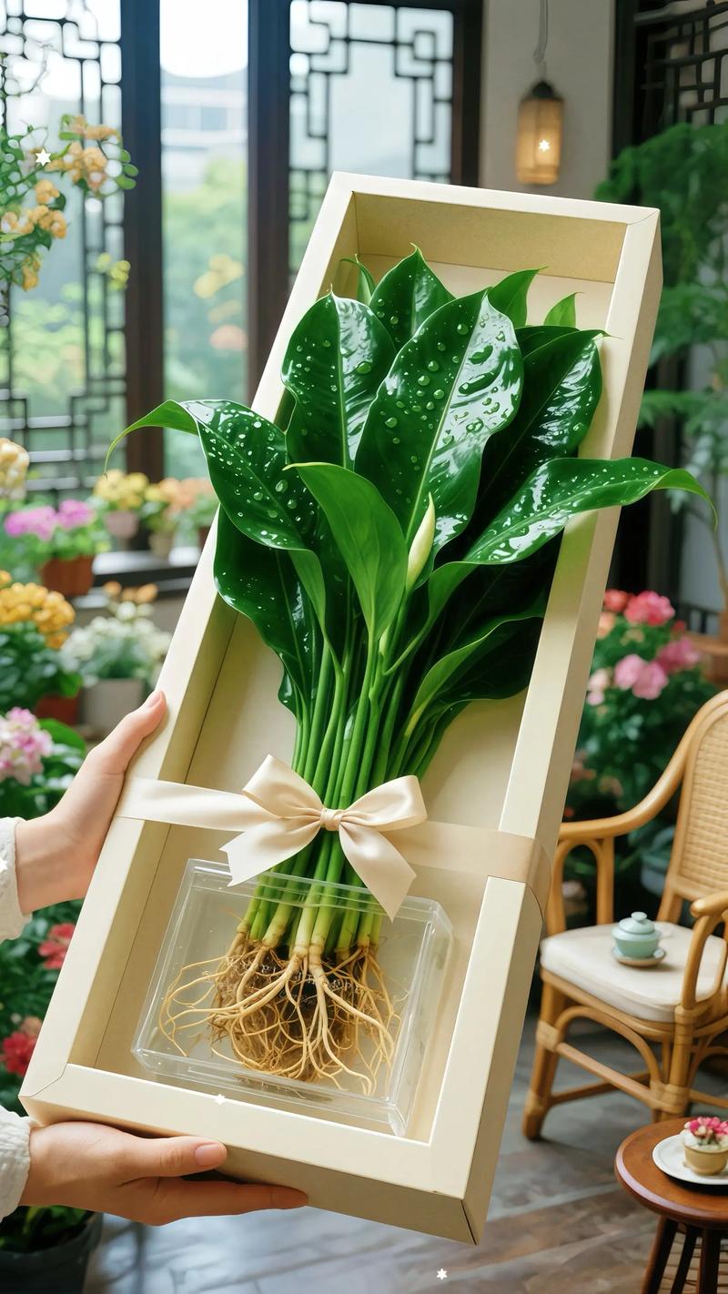 冬天绿植盆栽养护要点有哪些？-第3张图片-吾爱花网