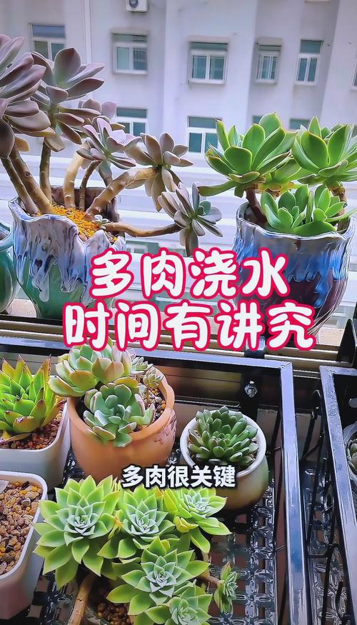 养盆栽必须给土壤消毒吗？-第3张图片-吾爱花网