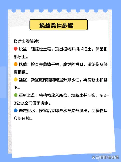 养盆栽必须给土壤消毒吗？-第1张图片-吾爱花网