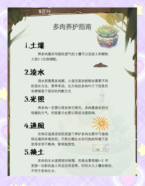 干土栽多肉几天浇一次水？-第2张图片-吾爱花网