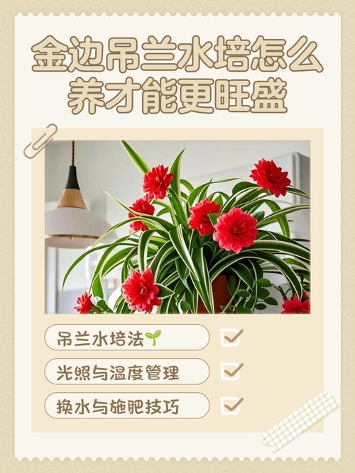 吊兰水培能和鱼一起养吗？-第1张图片-吾爱花网