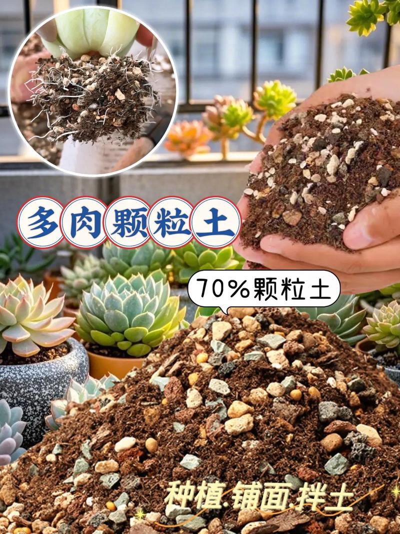 多肉必须用专用土吗？普通土不行吗？-第3张图片-吾爱花网