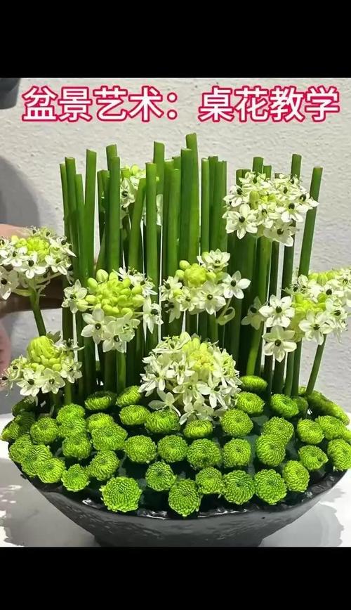 菊花盆栽怎么养？日常管理要注意什么？-第3张图片-吾爱花网