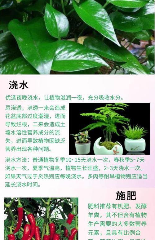 水培植物该加哪种肥料？-第1张图片-吾爱花网