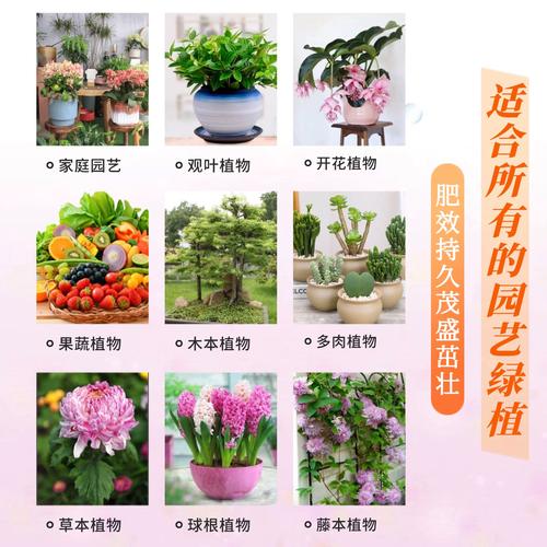 多肉喷雾能直接喷叶面吗？-第3张图片-吾爱花网