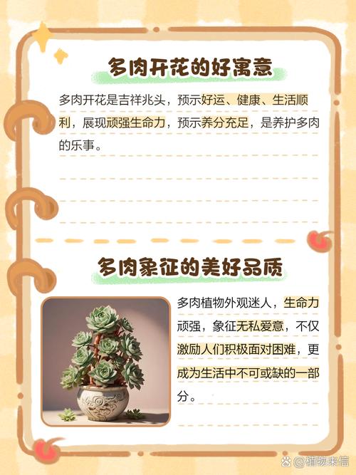 养多肉的人叫什么？-第3张图片-吾爱花网