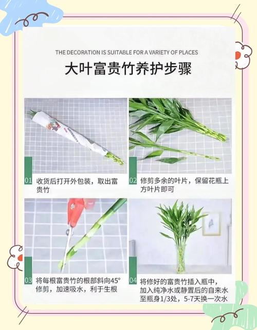 哪些植物适合无根水培？-第3张图片-吾爱花网