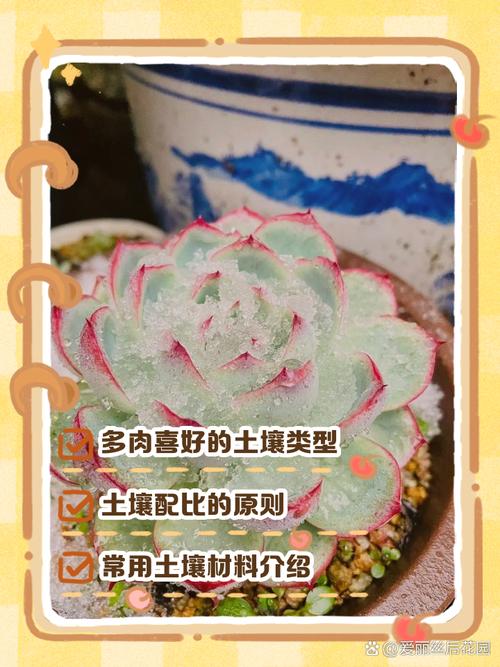 多肉适合什么土壤?-第1张图片-吾爱花网 多肉适合什么土壤?-第1张图片-吾爱花网