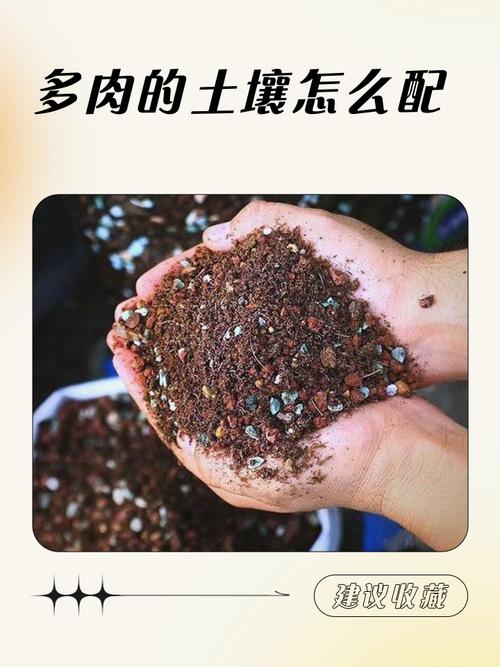 多肉适合什么土壤?-第2张图片-吾爱花网 多肉适合什么土壤?-第2张图片-吾爱花网