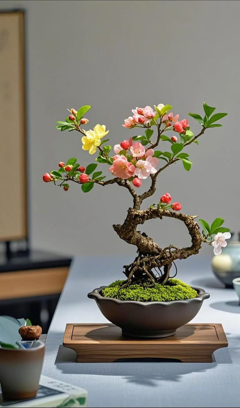 海棠盆栽用什么土最好？-第1张图片-吾爱花网