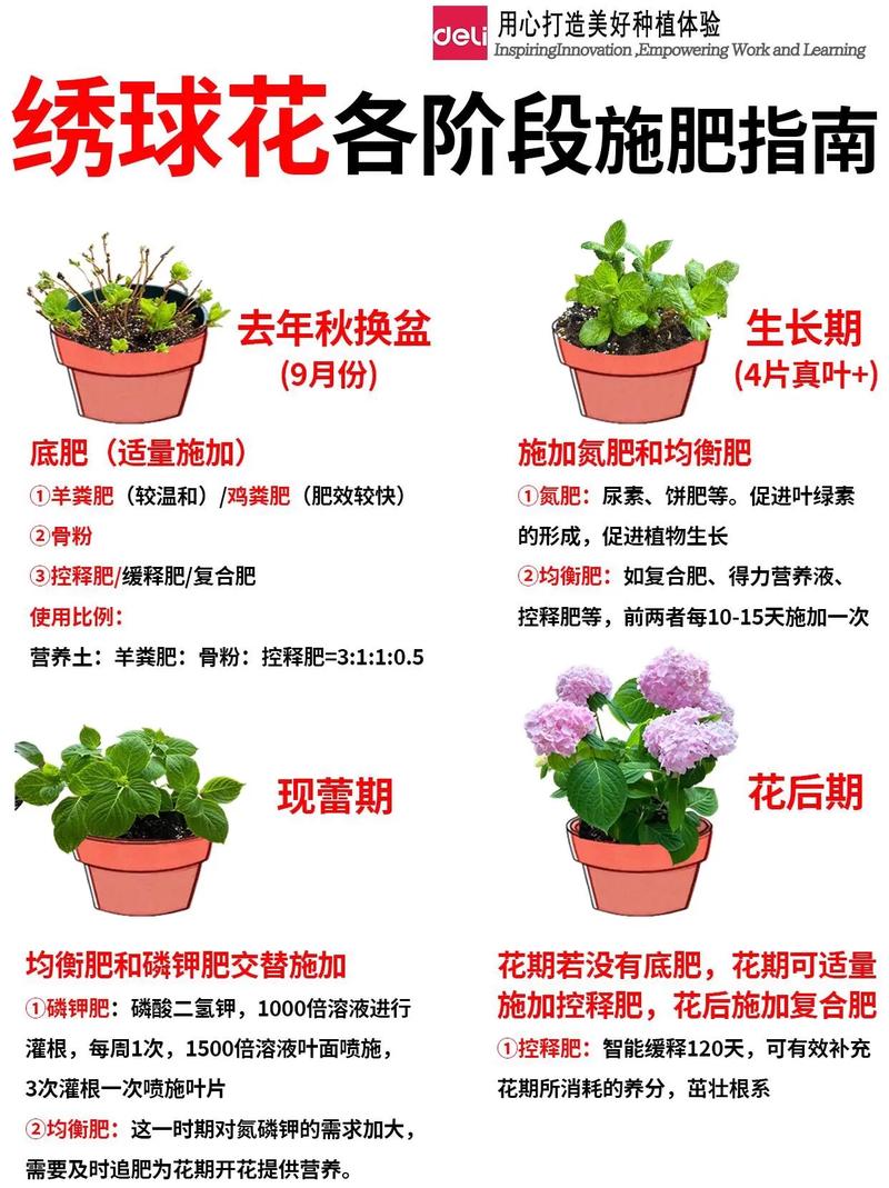 盆栽花卉施肥常用方法-第1张图片-吾爱花网