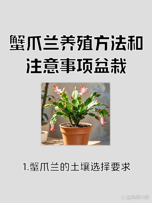 盆栽花卉施肥常用方法-第3张图片-吾爱花网