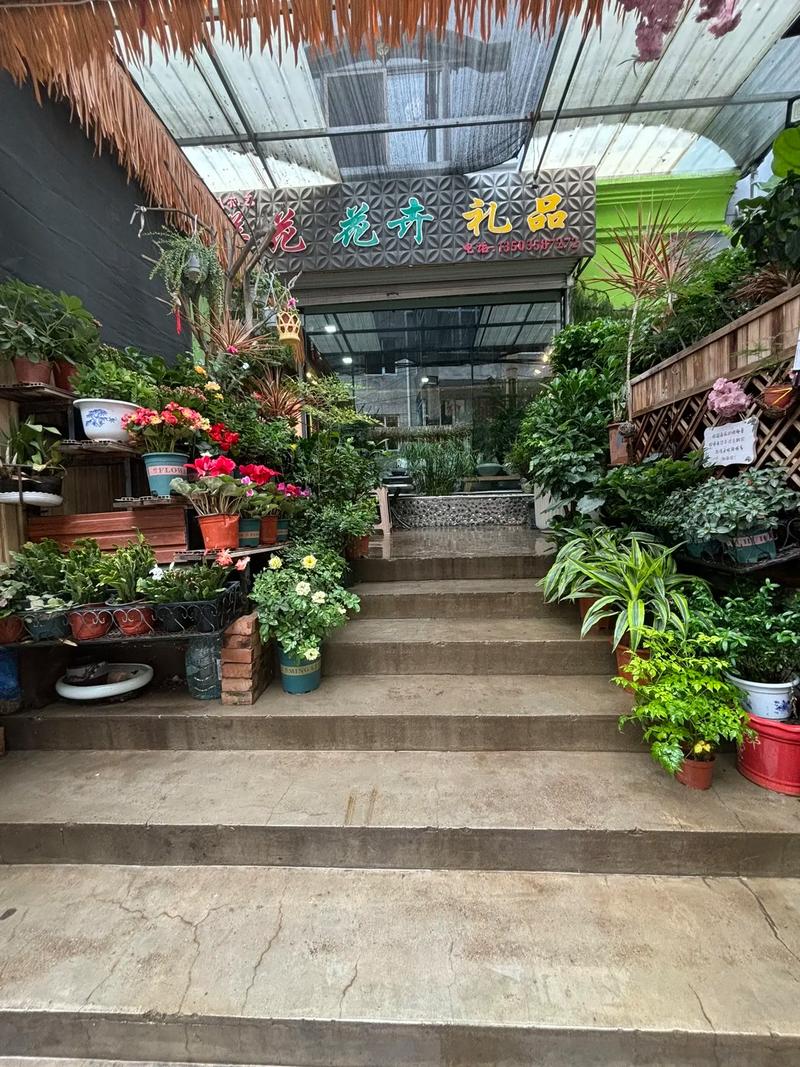花卉盆栽电商批发平台靠谱吗？-第3张图片-吾爱花网