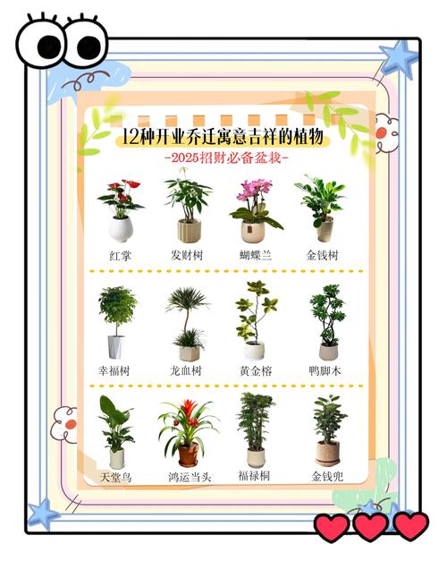 绿植盆栽名称大全有哪些常见品种？-第2张图片-吾爱花网