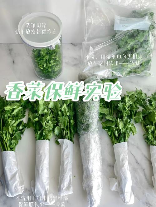 盆栽香菜冬天会被冻死吗？-第1张图片-吾爱花网