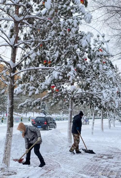辽宁盆栽树木如何安全室外过冬？-第2张图片-吾爱花网