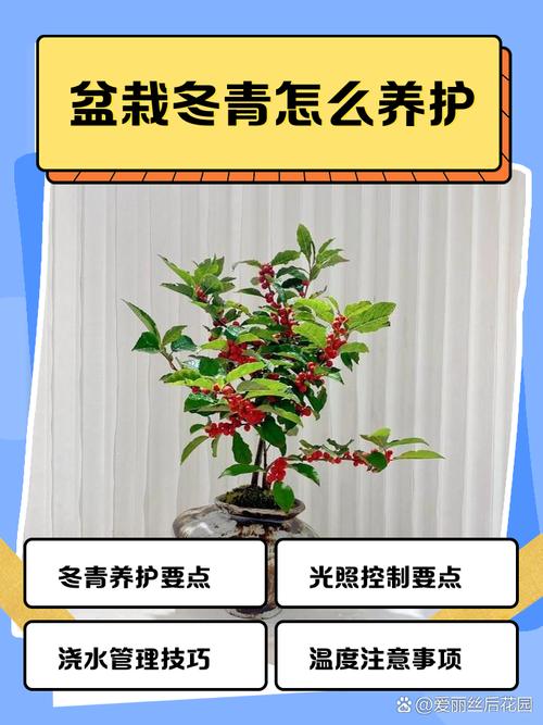 盆栽冬季何时移入室内最合适？-第2张图片-吾爱花网