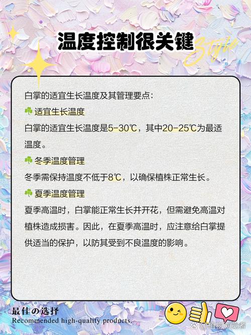 土培白掌转水培怎么养？-第3张图片-吾爱花网