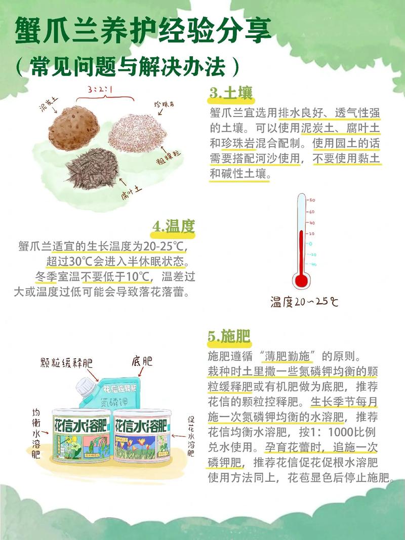 刚买蟹爪兰能直接水培吗？-第1张图片-吾爱花网