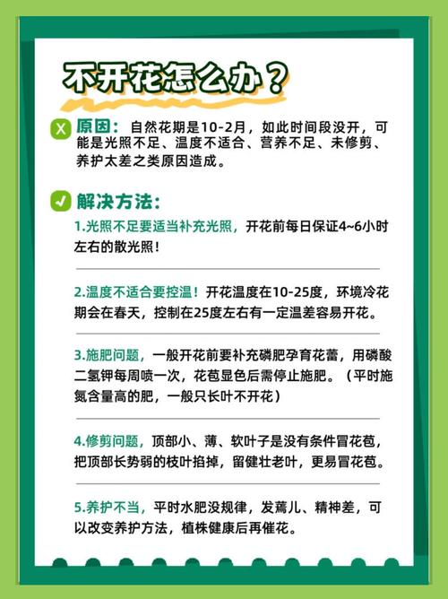 刚买蟹爪兰能直接水培吗？-第3张图片-吾爱花网