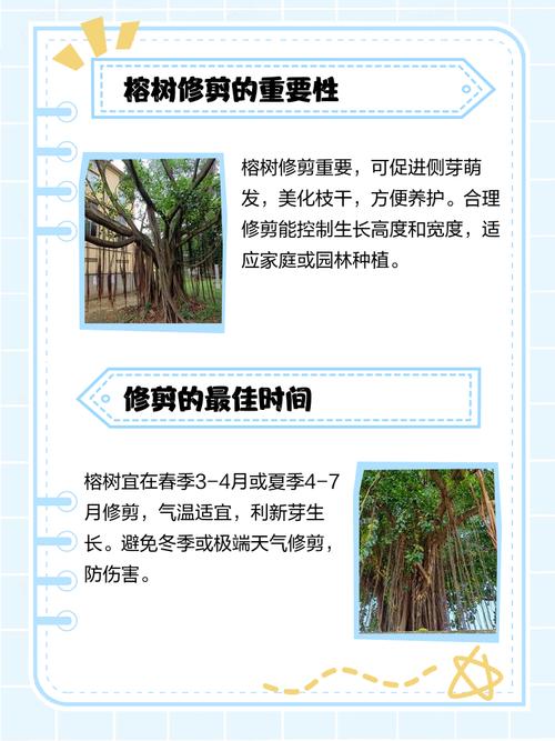 s型盆栽榕树修剪要怎么做？-第1张图片-吾爱花网