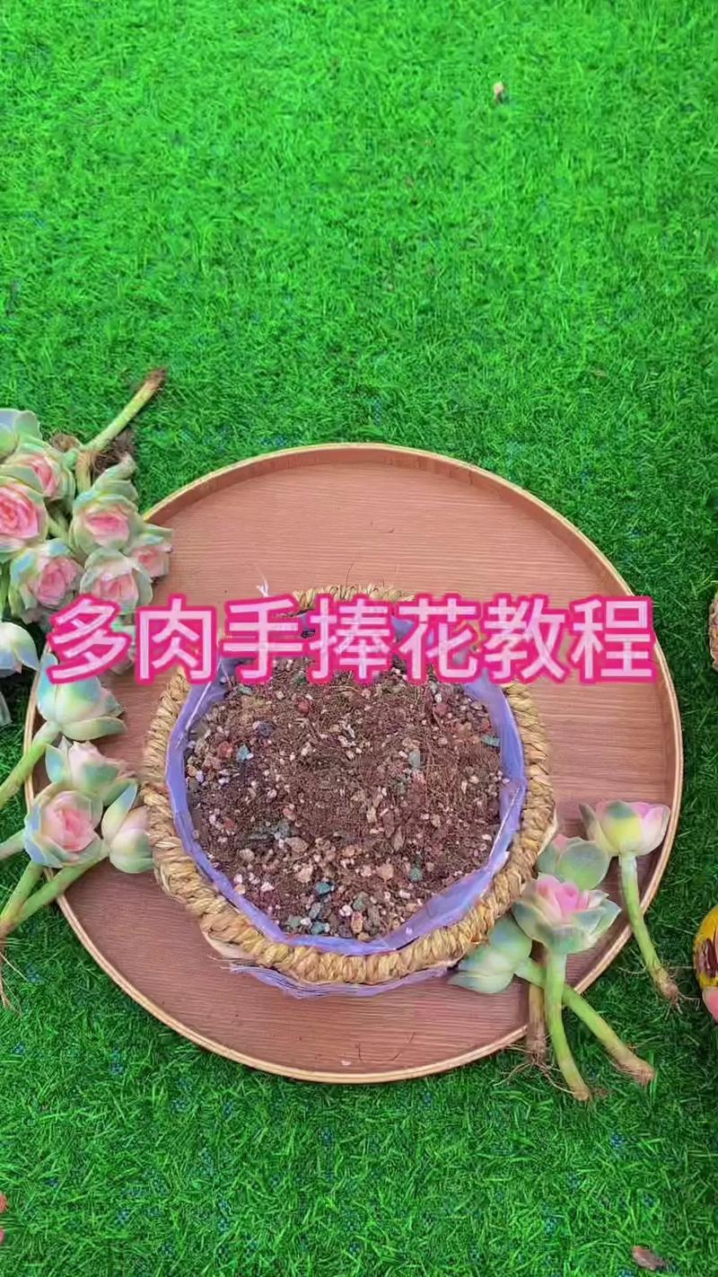 多肉的花瓣盆栽怎么养-第2张图片-吾爱花网