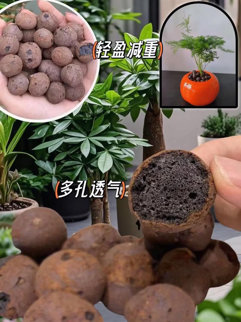 盆栽陶粒怎么用？铺底还是拌土？-第1张图片-吾爱花网