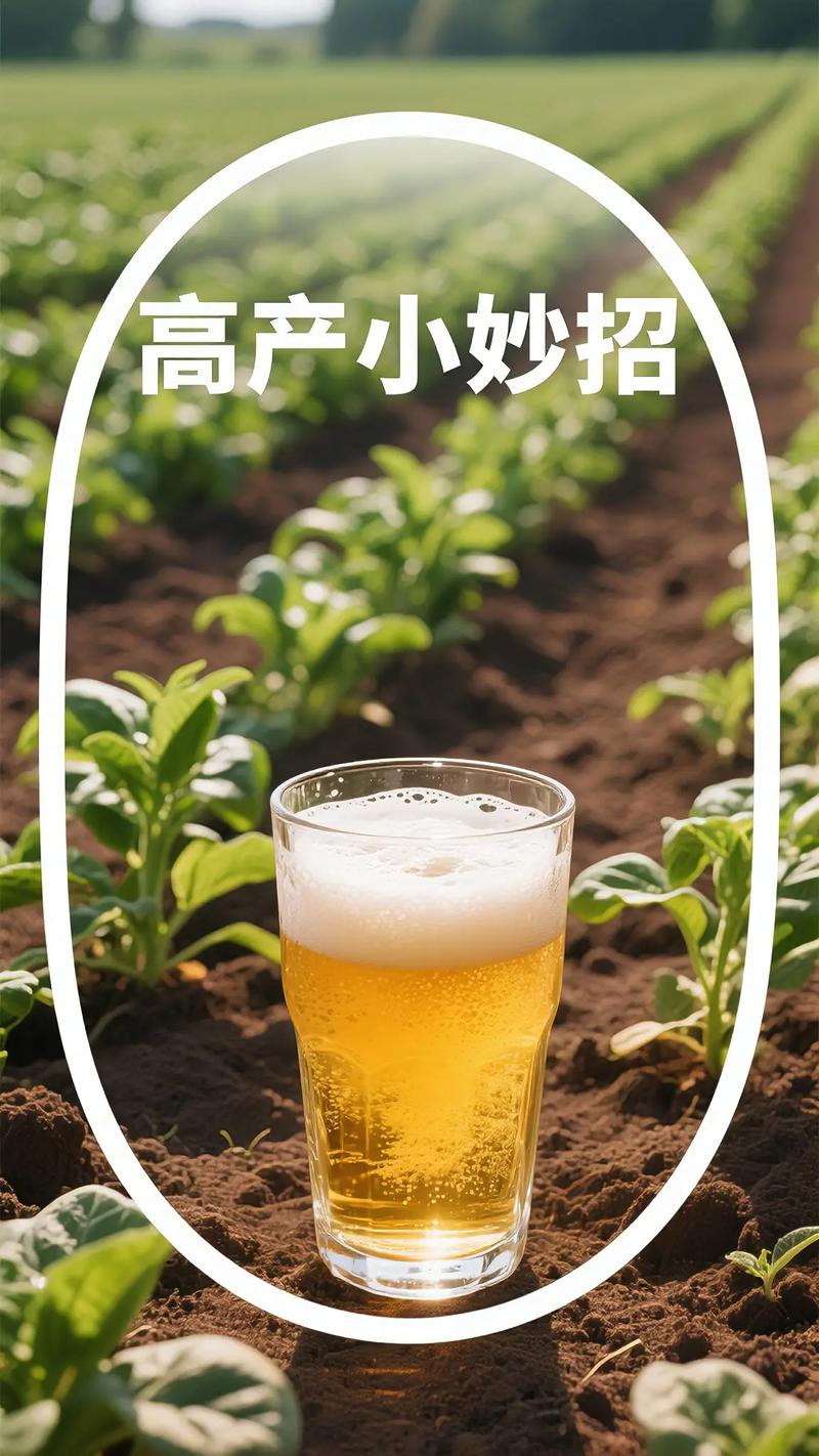 啤酒倒盆栽土里，是施肥还是伤根？-第2张图片-吾爱花网