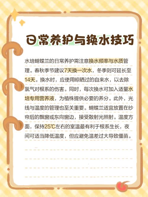 水培兰花水臭了怎么办？-第1张图片-吾爱花网