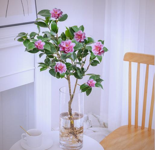 家里水培的花有哪些？附图片参考。-第3张图片-吾爱花网