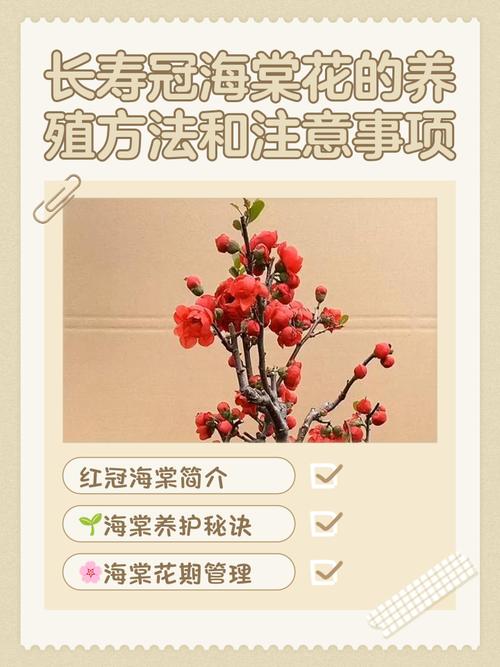 盆栽海棠怎么养才好看？-第1张图片-吾爱花网