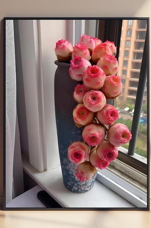 多肉玫瑰开花怎么抑制？-第1张图片-吾爱花网