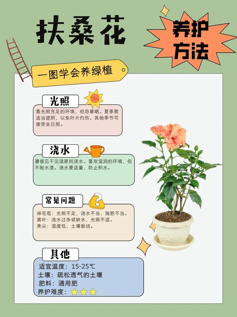 家庭花草盆栽怎么种才活得好？-第1张图片-吾爱花网