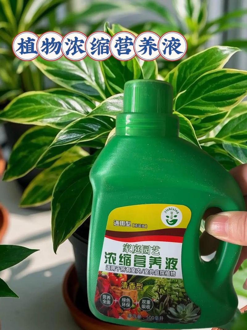 营养液倒多了怎么办？植物会死吗？-第1张图片-吾爱花网