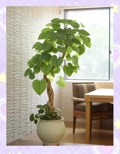 盆榕喜阳吗？晒太阳有啥讲究？-第2张图片-吾爱花网