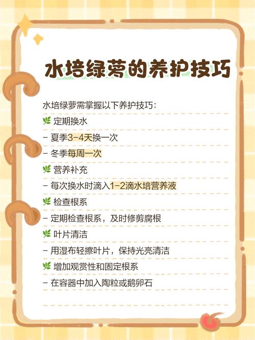 水培绿萝只加水能活吗？-第3张图片-吾爱花网