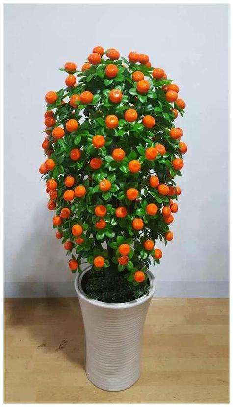 金命适合养水培植物吗？-第3张图片-吾爱花网